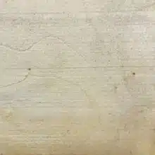 Hard Maple